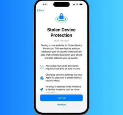 呼兰苹果授权维修店分享被盗设备保护功能开启方法 