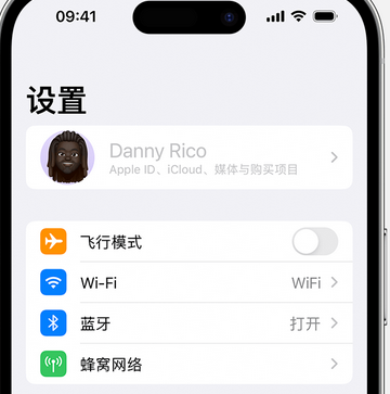 呼兰appleID维修服务iPhone设置中Apple ID显示为灰色无法使用 