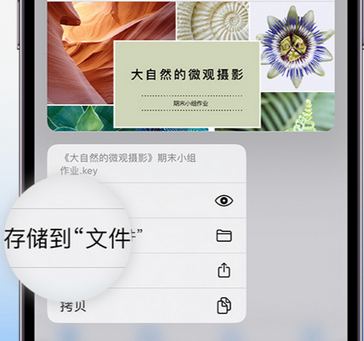 呼兰apple维修中心分享iPhone文件应用中存储和找到下载文件