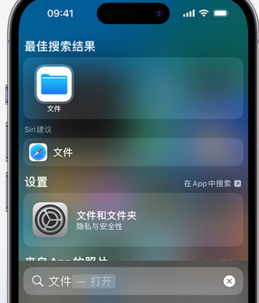 呼兰apple维修中心分享iPhone文件应用中存储和找到下载文件 