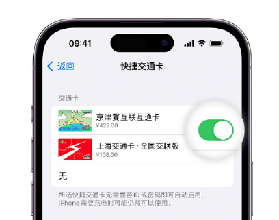 呼兰apple维修点分享iPhone上更换Apple Pay快捷交通卡手绘卡面 