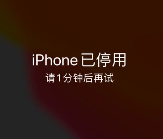 呼兰苹果手机维修分享:iPhone 显示“不可用”或“已停用”怎么办？还能保留数据吗？ 