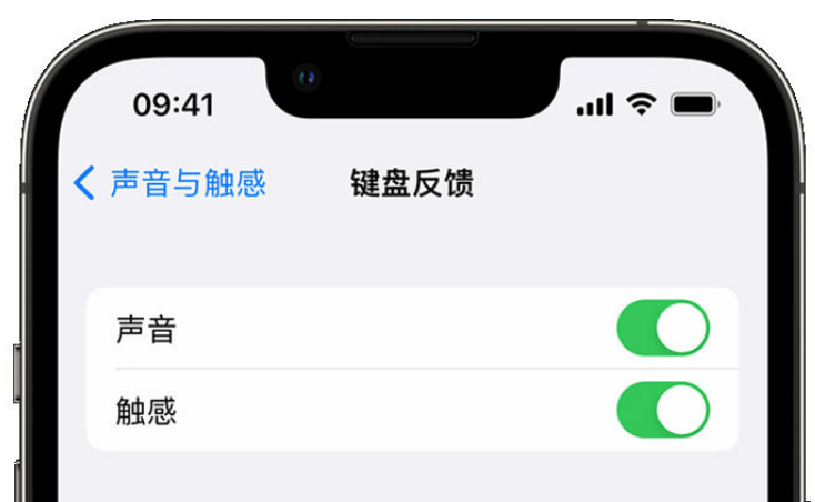 呼兰苹果手机维修分享iPhone 14触感键盘使用方法 