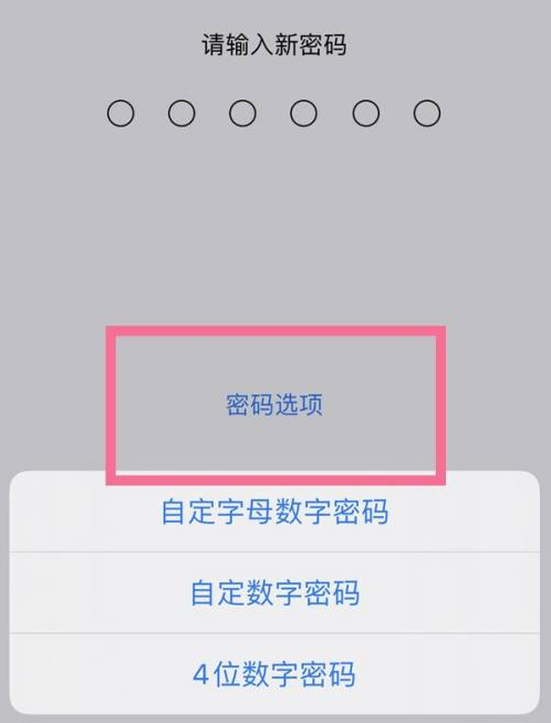 呼兰苹果14维修分享iPhone 14plus设置密码的方法 