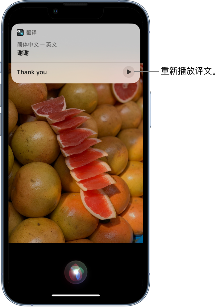 呼兰苹果14维修分享 iPhone 14 机型中使用 Siri：了解 Siri 能帮你做什么 