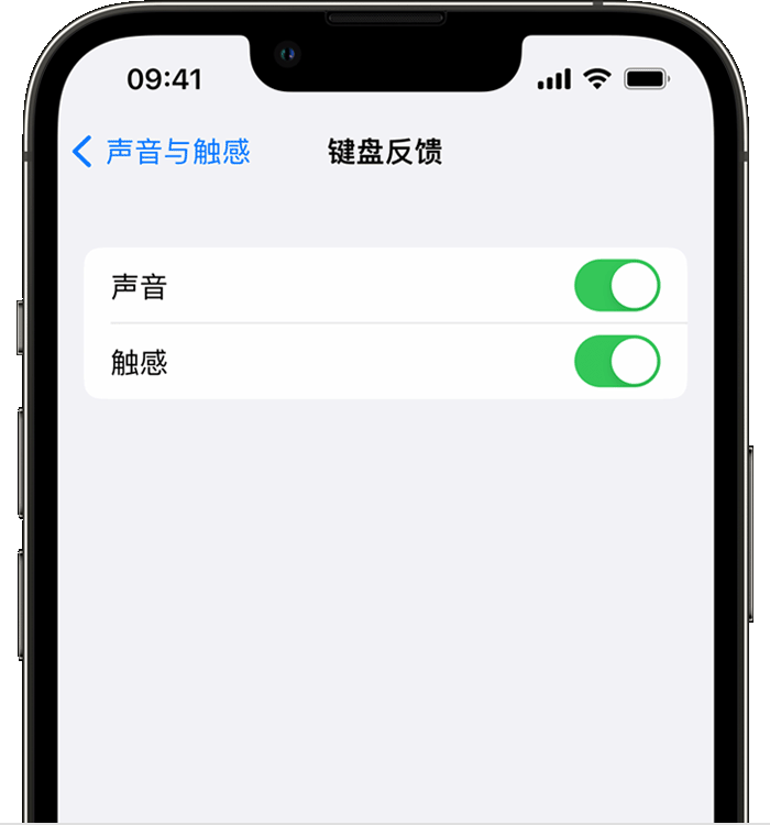 呼兰苹果14维修分享iPhone 14 系列机型如何开启键盘声音或触感反馈 