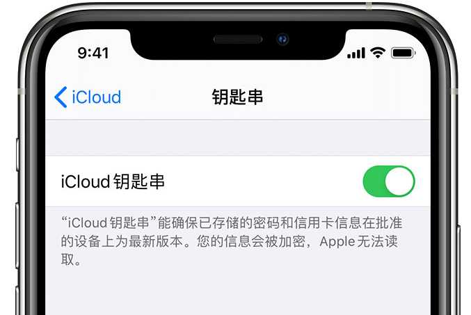 呼兰苹果手机维修分享在 iPhone 上开启 iCloud 钥匙串之后会储存哪些信息 