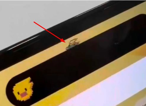 呼兰苹果14维修分享iPhone 14 Pro Max灵动岛怎么养宠物 