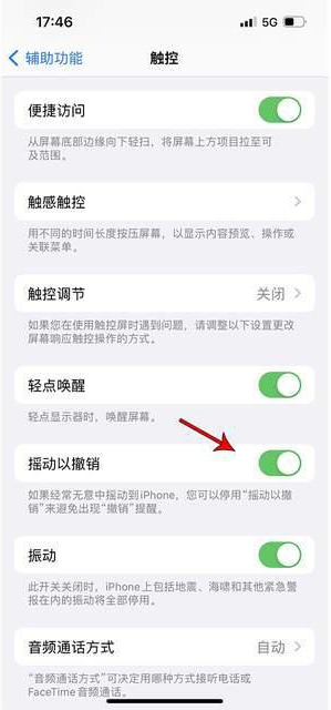 呼兰苹果手机维修分享iPhone手机如何设置摇一摇删除文字 