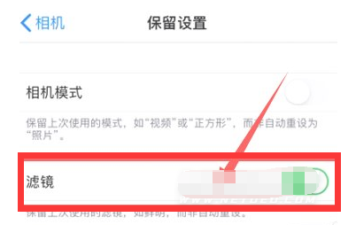 呼兰苹果13维修分享iPhone13拍照有绿点是怎么回事 