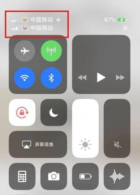 呼兰苹果手机维修分享为 iPhone 12 双卡设置标签 