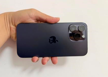 呼兰苹果维修点分享iPhone 14 Pro Max黑屏少见故障盘点 